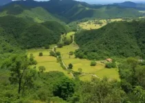 Rio Grande do Sul