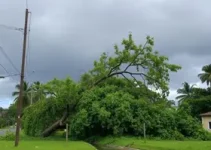 temporal Região Metropolitana de Porto Alegre