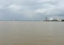 Guaíba
