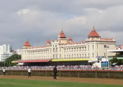 sondagem de mercado sambódromo